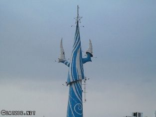 starcity41