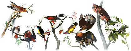 Google Logo - 226th Birthday of John James Audubon