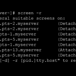 shell-screen