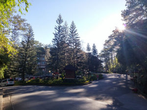 The Manor, near entrance